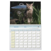 De Feral LiFe Fotokatten 2025 Kalender (Feb 2026)