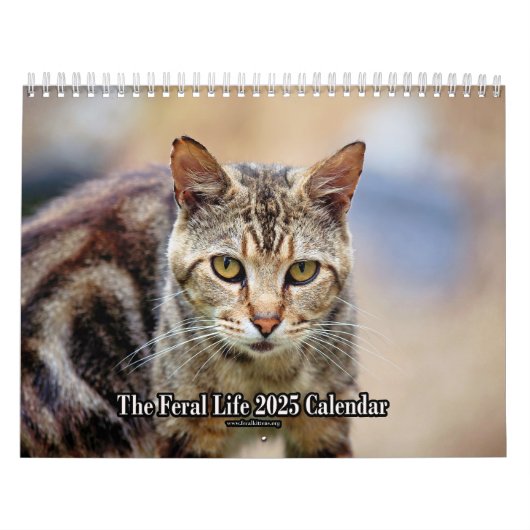 De Feral LiFe Fotokatten 2025 Kalender (Hoes)