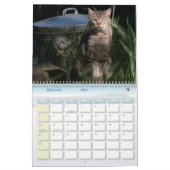 De Feral LiFe Fotokatten 2025 Kalender (Feb 2027)