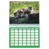 De Feral LiFe Fotokatten 2025 Kalender (Mar 2026)