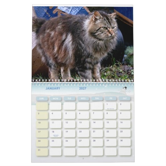 De Feral LiFe Fotokatten 2026 Kalender (Jan 2027)