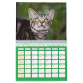 De Feral LiFe Fotokatten 2026 Kalender (Mar 2027)