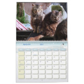 De Feral LiFe Fotokatten 2026 Kalender (Feb 2027)