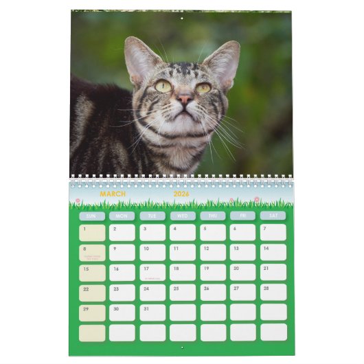 De Feral LiFe Fotokatten 2026 Kalender (Mar 2026)