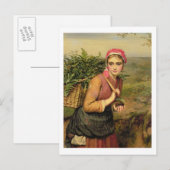 De Fern Gatherer Briefkaart (Voorkant / Achterkant)