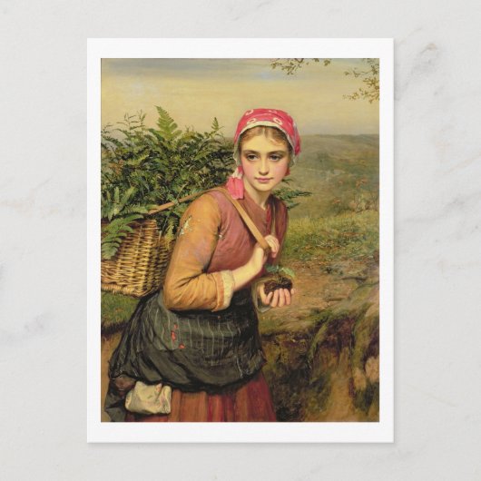 De Fern Gatherer Briefkaart (Voorkant)