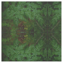 De Ferns