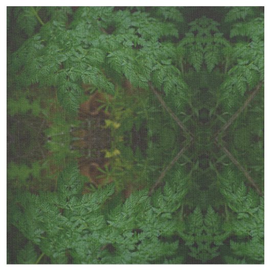 De Ferns Stof (Close Up)