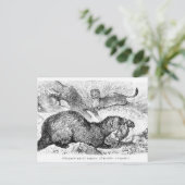 De Ferret Briefkaart (Staand voorkant)