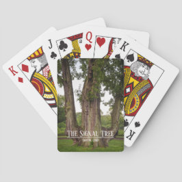 De fiets van de signaalboom die kaarten afspeelt