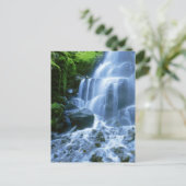 De Fijne Foto van de Waterval van de Rivier van Briefkaart (Staand voorkant)