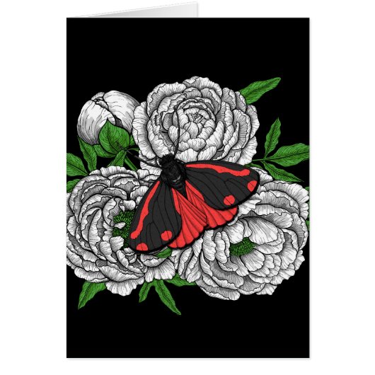 De filmmot (Voorkant)