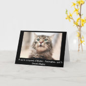 De Filosofie van de kat - Grappig Wenskaart Kaart (Gele Bloem)