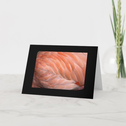 De flamingo sluit omhoog Groet Kaart (Voorkant)