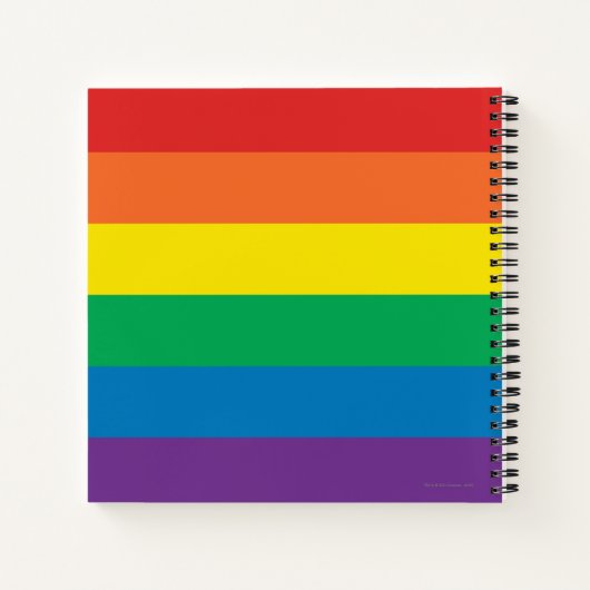 De Flash Rainbow-Logo Notitieboek (Achterkant)