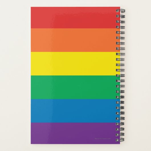 De Flash Rainbow-Logo Planner (Achterkant)
