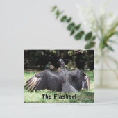 De Flasher. Briefkaart (Staand voorkant)