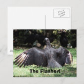 De Flasher. Briefkaart (Voorkant / Achterkant)
