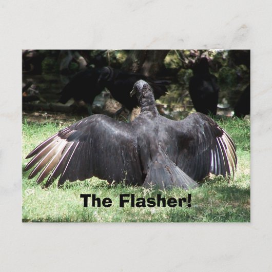 De Flasher. Briefkaart (Voorkant)