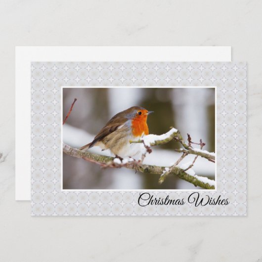 De Flat van de winter Kerstkaart van Robin (Voorkant / Achterkant)
