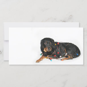 De flater van Kerstmis van Rottie Feestdagenkaart