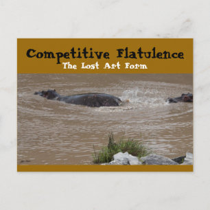 De Flatulent Defense Briefkaart