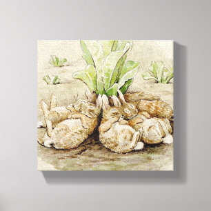 De Flopsy Bunnies Aslapen (door Beatrix Potter) Canvas Afdruk