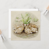 De Flopsy Bunnies Aslapen (door Beatrix Potter) Kaart (Voorkant / Achterkant in situ)