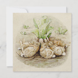 De Flopsy Bunnies Aslapen (door Beatrix Potter) Kaart