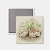De Flopsy Bunnies Aslapen (door Beatrix Potter) Magneet (Voorkant / Achterkant)