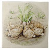 De Flopsy Bunnies Aslapen (door Beatrix Potter) Tegeltje (Voorkant)