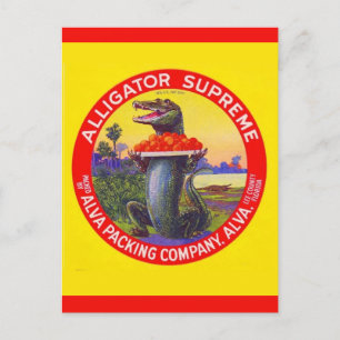 De Florida Alligator Supreme Briefkaart