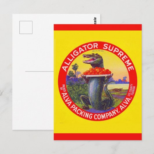 De Florida Alligator Supreme Briefkaart (Voorkant / Achterkant)