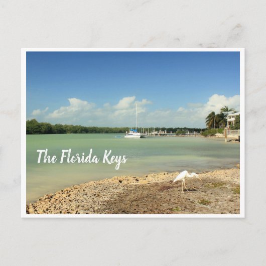 De Florida Keys fotoscène met boot en vogel Briefkaart (Voorkant)