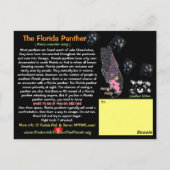 De Florida Panther, een bedreigd dier — Briefkaart (Achterkant)