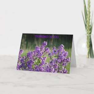 De Flox van de lavendel, het Denken aan u Kaart