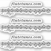 De flutetunes.com Logo Sticker (Voorkant)