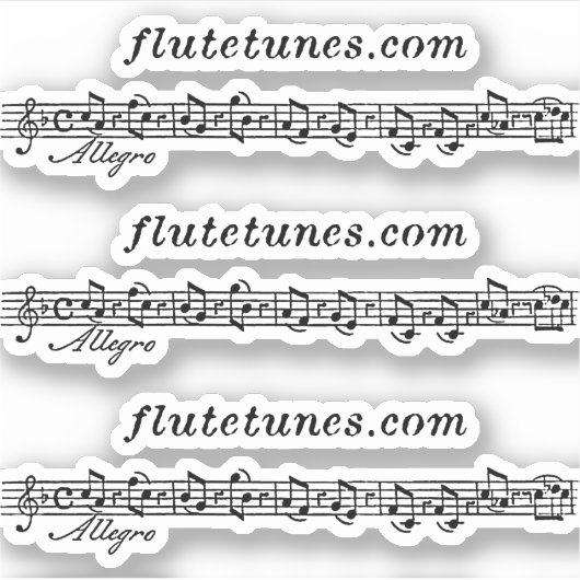 De flutetunes.com Logo Sticker (Voorkant)