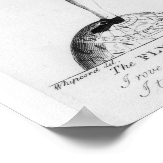 De "Fly Catching Macaroni" Poster (Hoek)