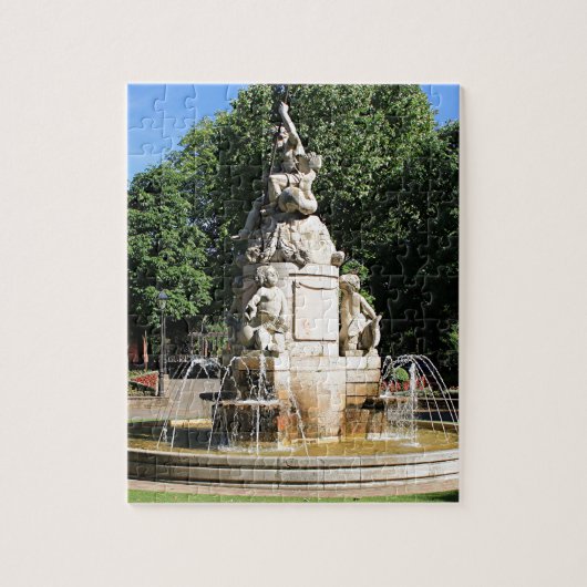 De fontein in Leon, El Camino Legpuzzel (Verticaal)