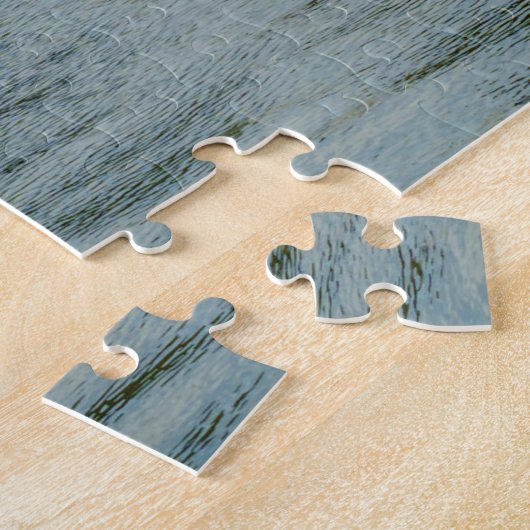 De fontein van de Apollo in de tuinen van Versaill Legpuzzel (Zijkant)