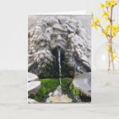De fontein van de Jeugd Kaart (Gele Bloem)
