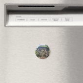 De Fontein van de Jeugd van Ponce de Leon Magneet (Insitu (Vaatwasser))
