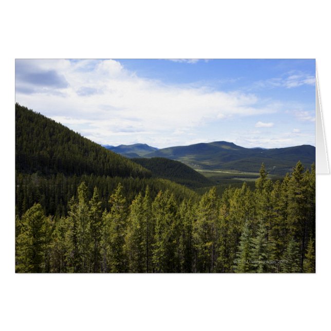 De foothills van Alberta Canada. (Voorkant Horizontaal)