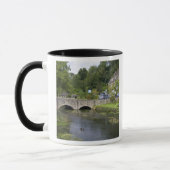 de forelstroom in het dorp Bibury, Mok (Links)