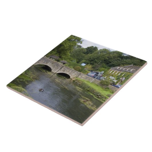 de forelstroom in het dorp Bibury, Tegeltje (Zijkant)