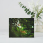 De Forest Prince Briefkaart (Staand voorkant)