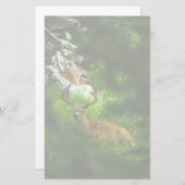 De Forest Prince Briefpapier (Voorkant / Achterkant)