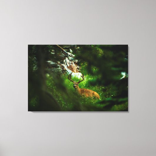 De Forest Prince Canvas Afdruk (Voorkant)