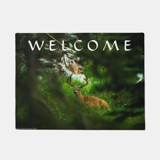 De Forest Prince Deurmat (Voorkant)